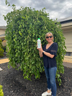 Medigrow® Liquid Plant Fertiliser