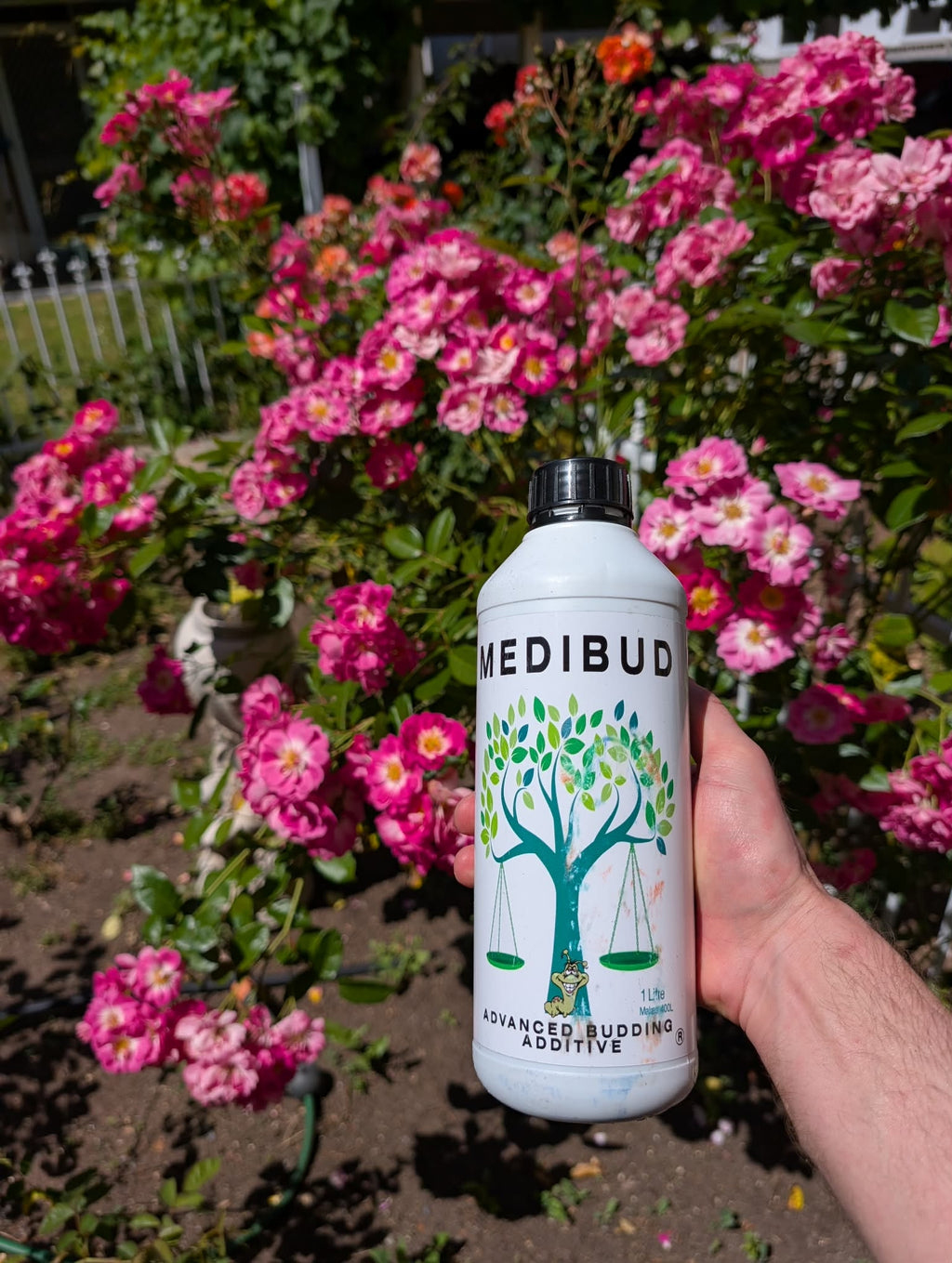 Medibud® Liquid Fertiliser