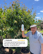 Medibud® Liquid Fertiliser