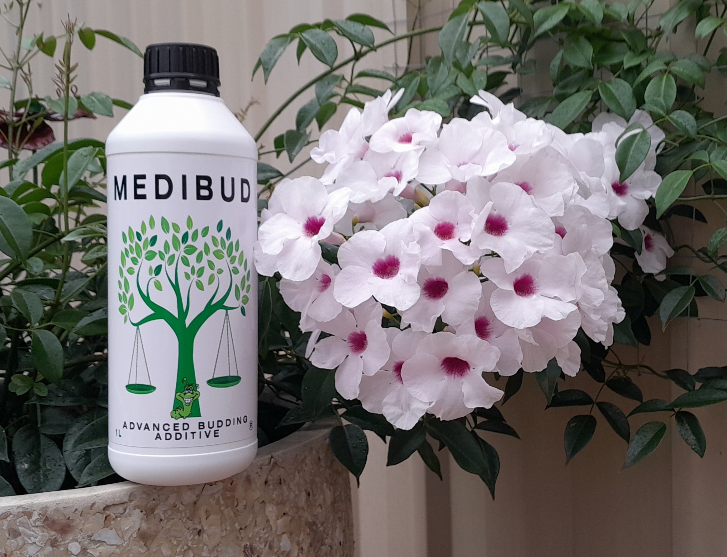 Medibud® Liquid Fertiliser