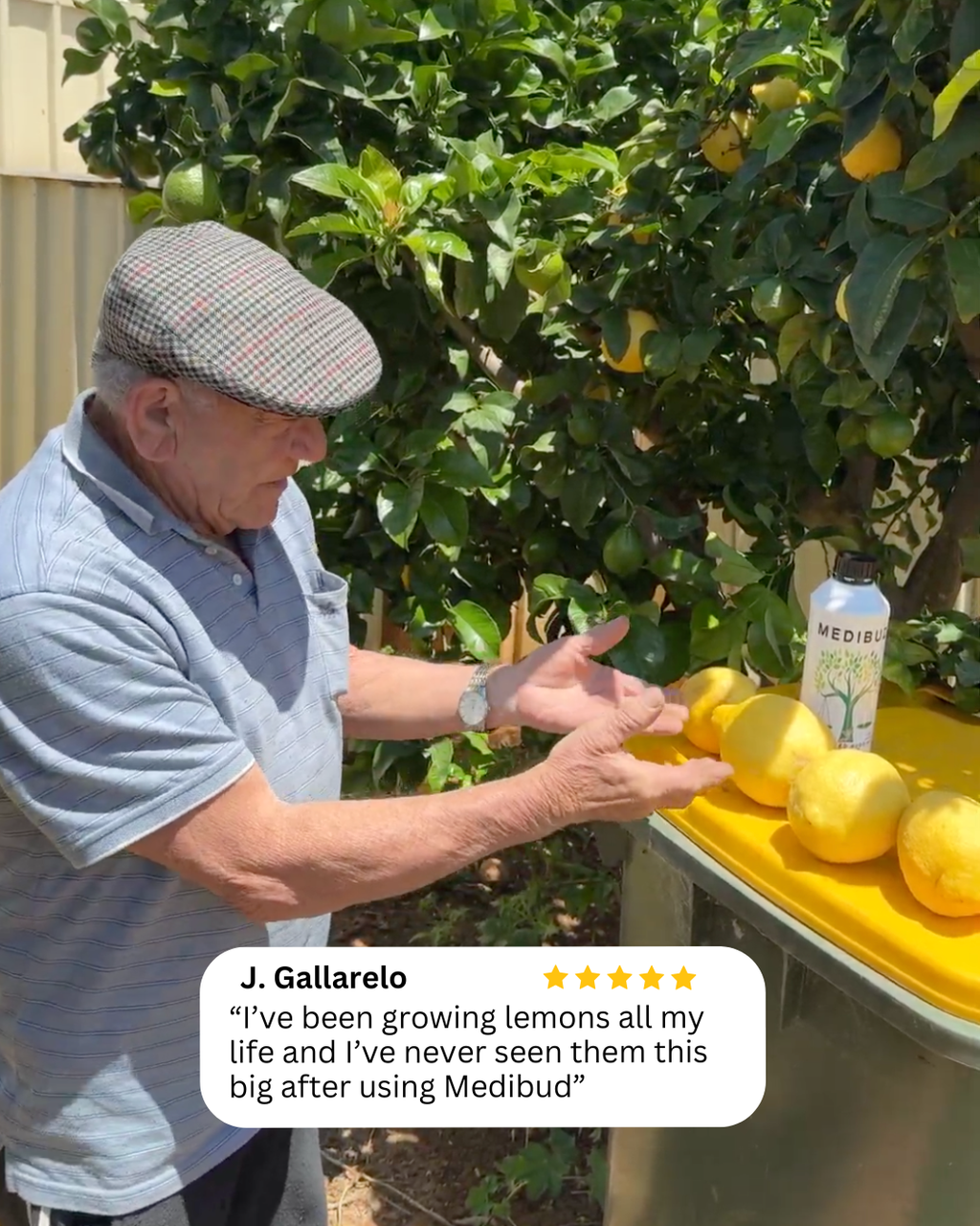 Medigrow® + Medibud® Garden Fertiliser Bundle