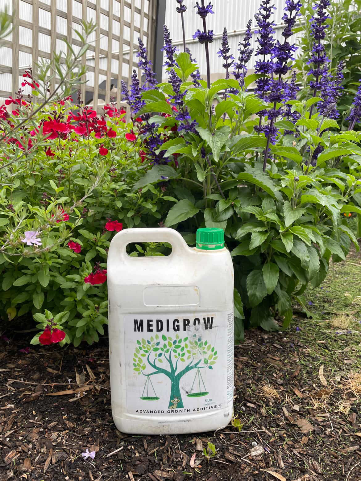 Medigrow® Liquid Plant Fertiliser