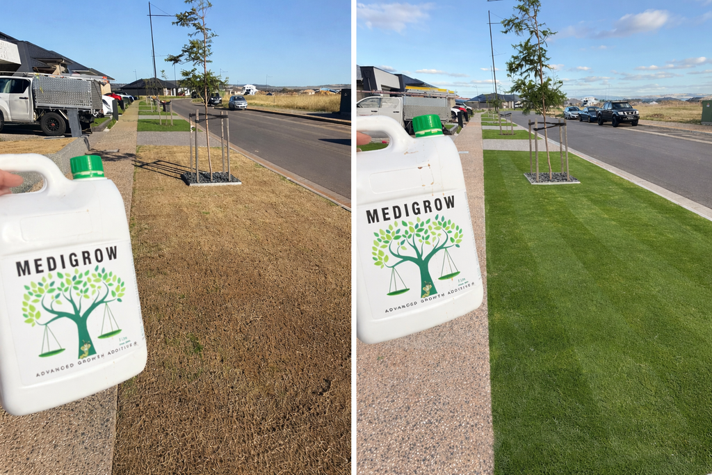 Medigrow® + Medibud® Garden Fertiliser Bundle