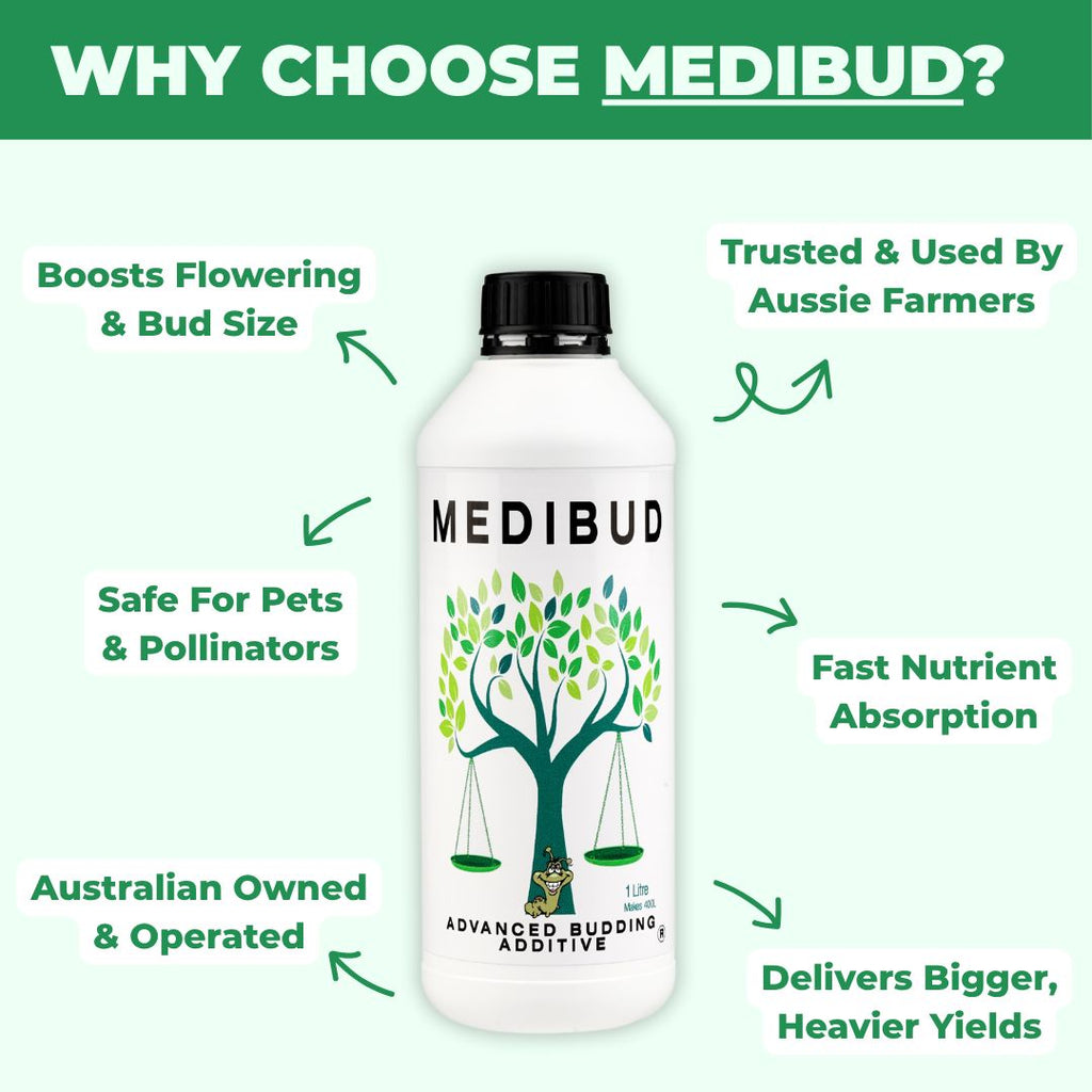 Medibud® Liquid Fertiliser