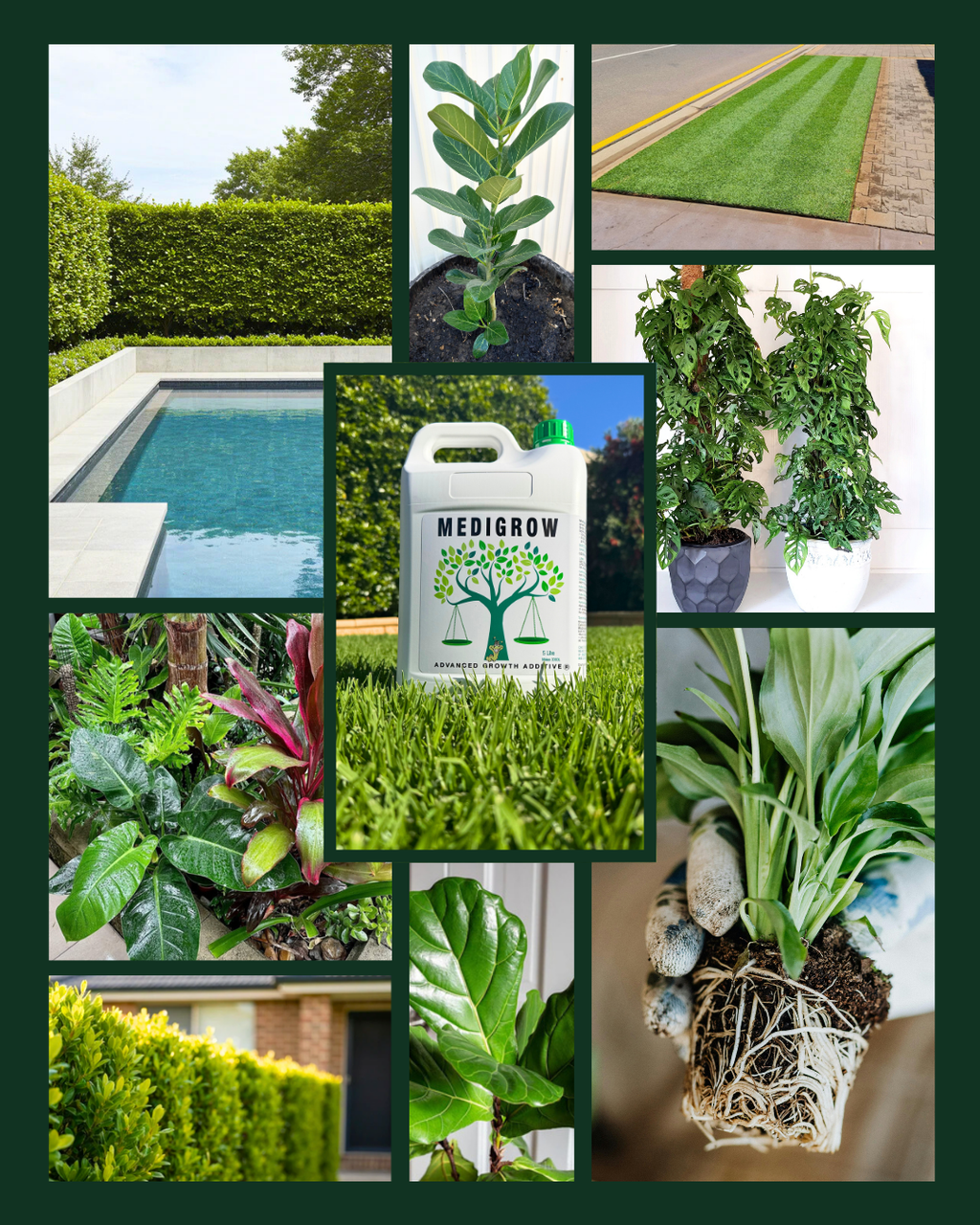 Medigrow® + Medibud® Garden Fertiliser Bundle